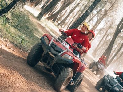 Buggy / Atv Safari