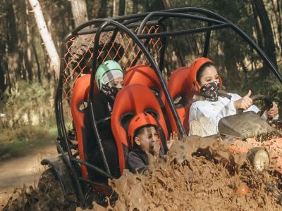Aile Buggy Safari