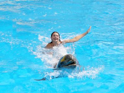 Swimming and Showing with Dolphins