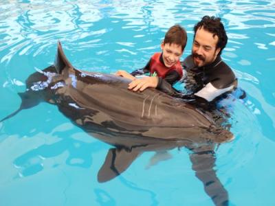 Swimming and Showing with Dolphins