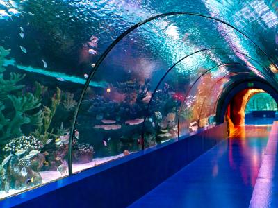 Antalya Aquarium