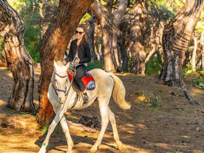At Safari