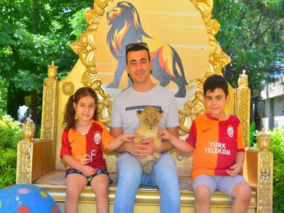 Aslanlar Ülkesi ve Efsaneler Ülkesi (Gece Gösterisi)