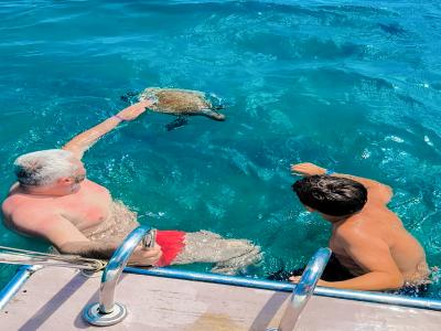 Sea Turtle Snorkelling Boat Tour (shared)