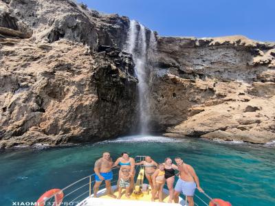 Sea Turtle Snorkelling Boat Tour (shared)