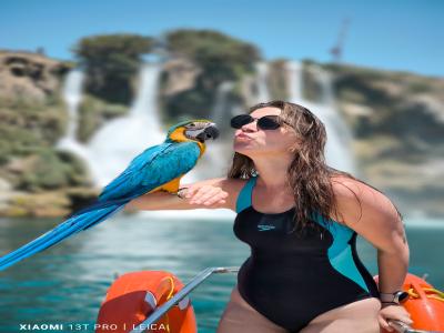 Sea Turtle Snorkelling Boat Tour (shared)