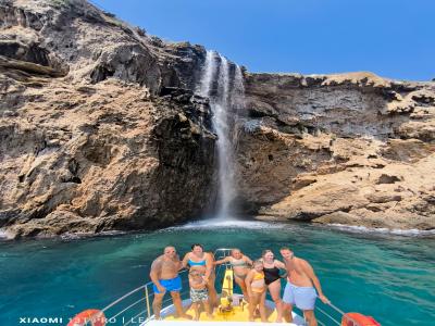 Sea Turtle Snorkelling Boat Tour (shared)