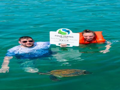 Sea Turtle Snorkelling Boat Tour (shared)