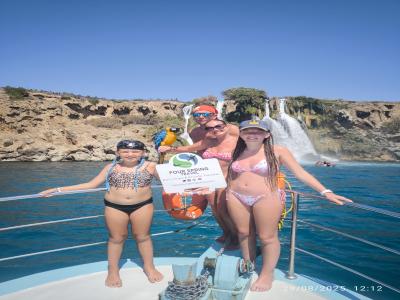 Sea Turtle Snorkelling Boat Tour (shared)