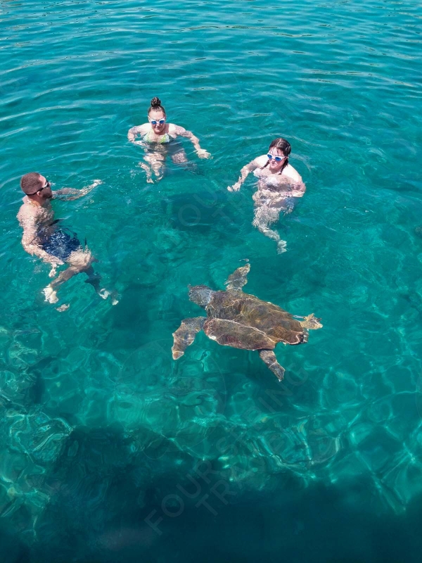 Deniz Kaplumbağası ile Şnorkel Turu