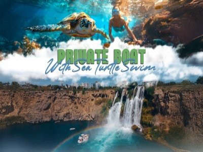 Private Yacht Sea Turtle Tour