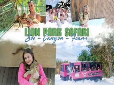 Aslan Panther Safari